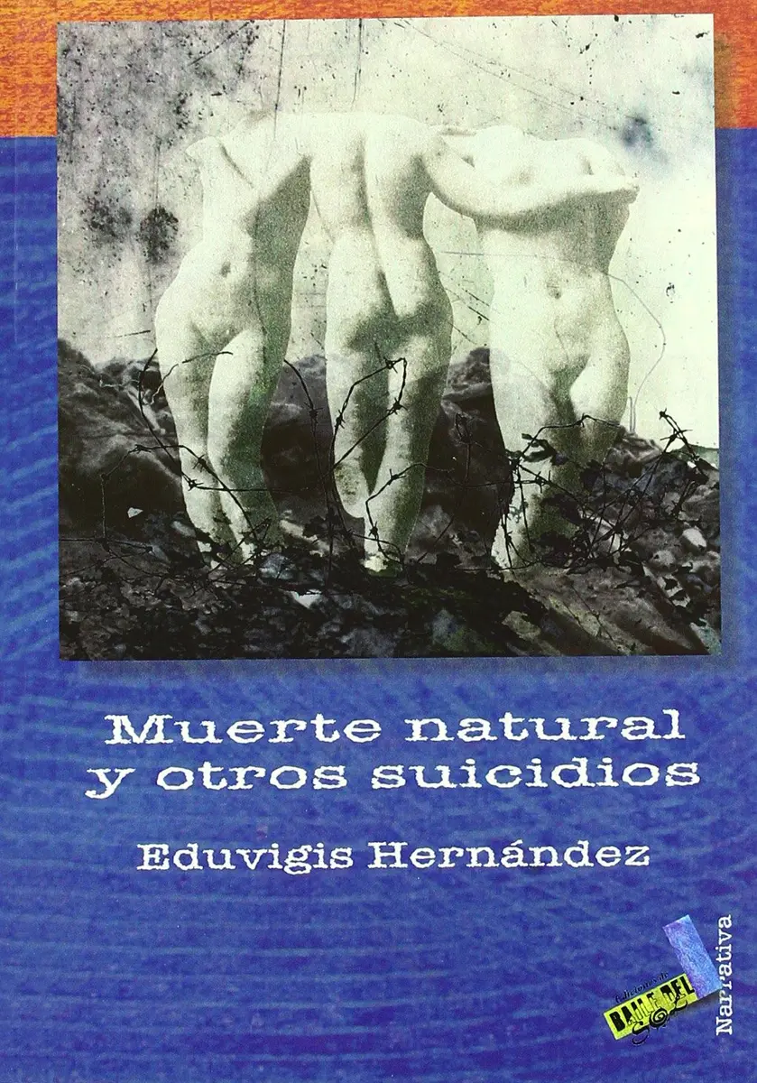 Narrativa Short Stories & Short Stories & Fiction | Spanish Edition, 72 pages, Hernández Cabrera - main product image