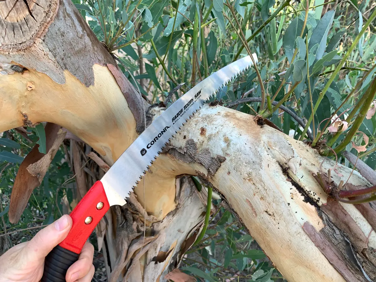 Corona Clipper 13-Inch RazorTOOTH Pruning Saw | Curved Blade Hand Saw for Branches up to 7" - view 2