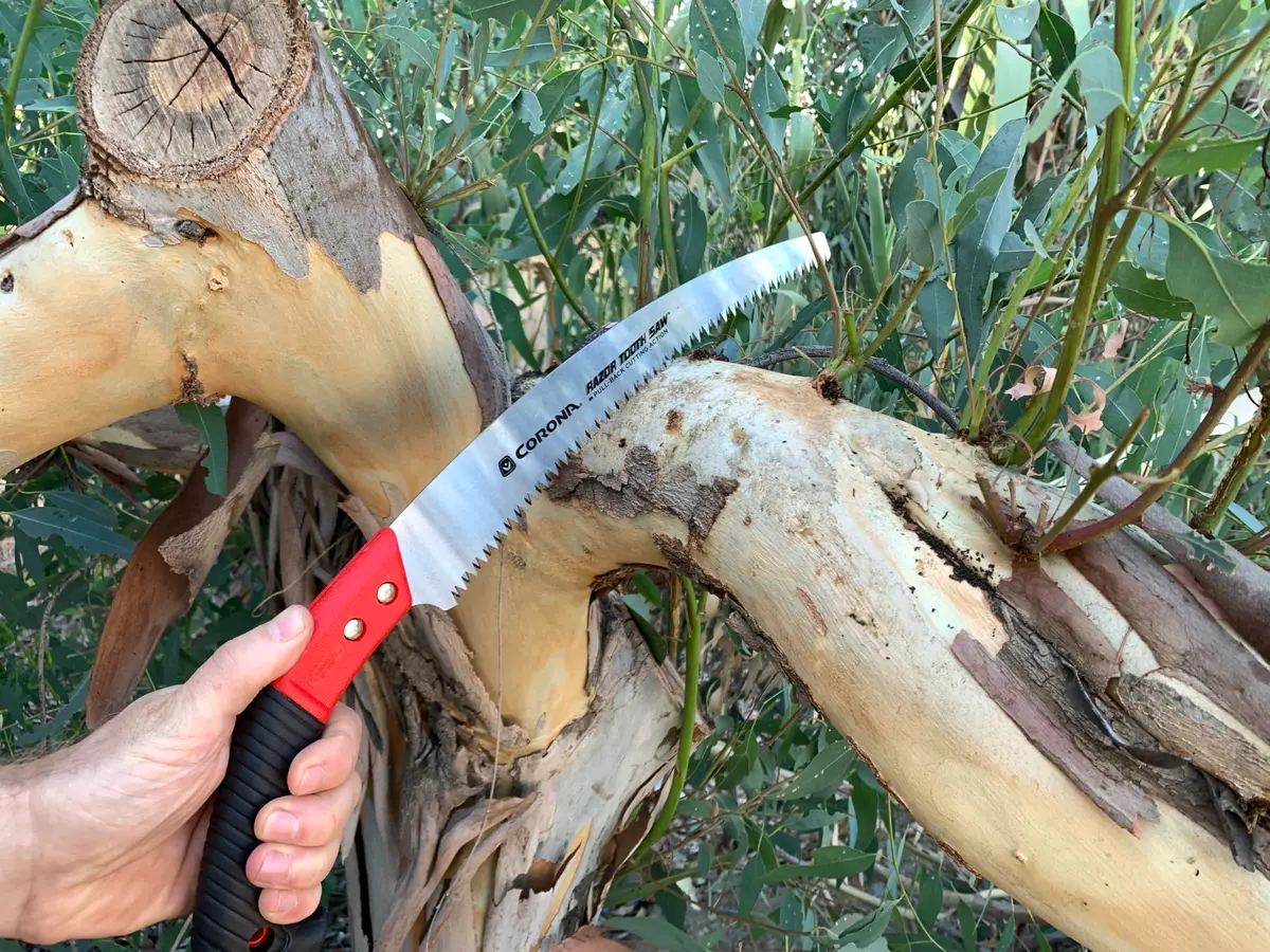 Corona Clipper 13-Inch RazorTOOTH Pruning Saw | Curved Blade Hand Saw for Branches up to 7" - view 4