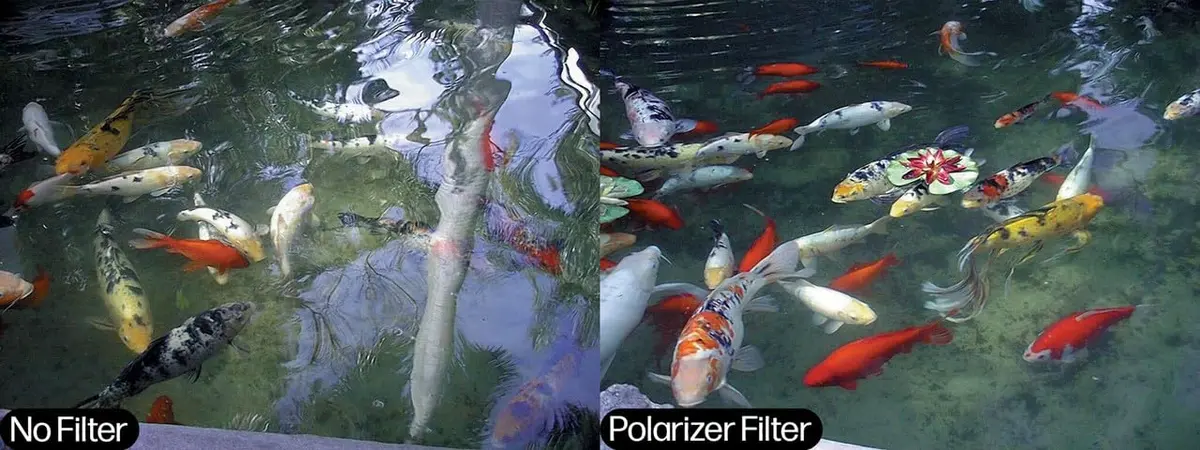Tiffen 49mm Linear Polarizer Filter | Reduce Glare & Haze, Increase Contrast & Color Saturation - view 2