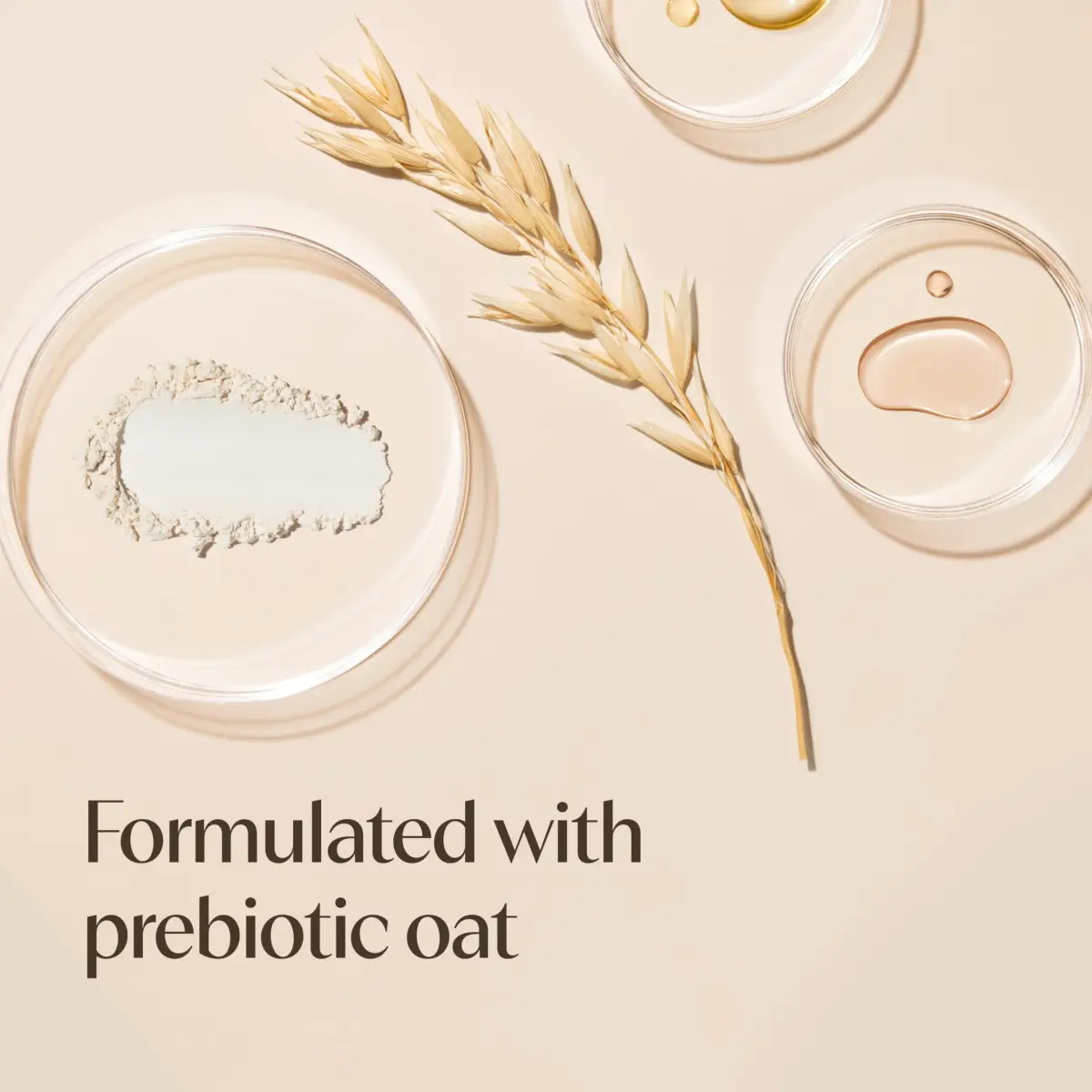 Aveeno Daily Moisturizing Body Lotion with Prebiotic Oat 354ml (12 Fl Oz) | Fragrance-Free for Dry, Sensitive Skin - view 6