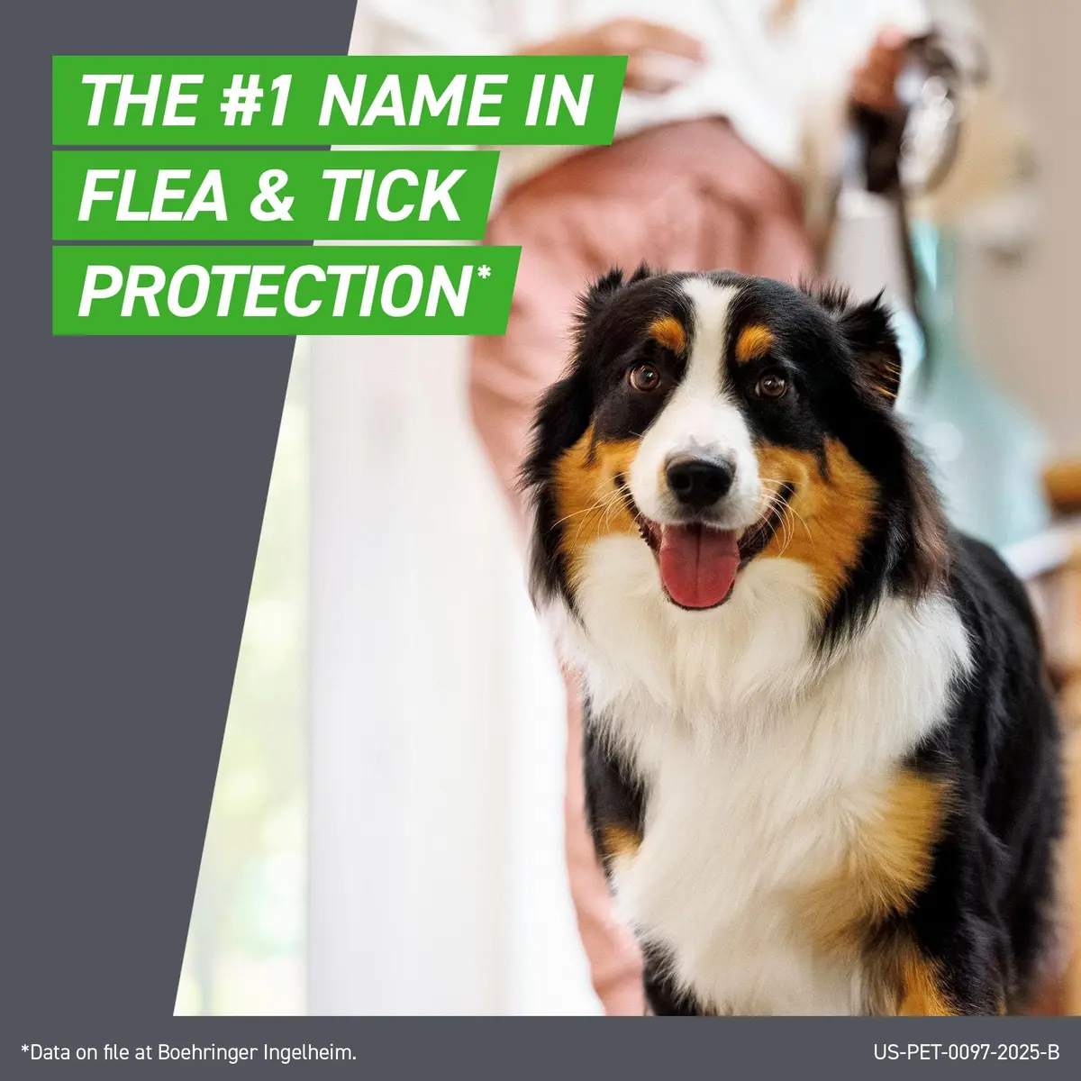 Frontline Plus Flea & Tick Spot Treatment for Small Dogs 5-22 lbs. (Orange) 3 Count | Waterproof, Fast-Acting - view 3