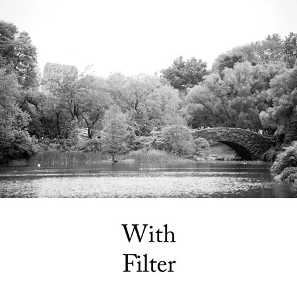 Hoya HMC K2 72mm Lens Filter (Yellow) | Tonal Enhancing Camera Filter for B&W Photography with Slim Aluminum Frame - view 3