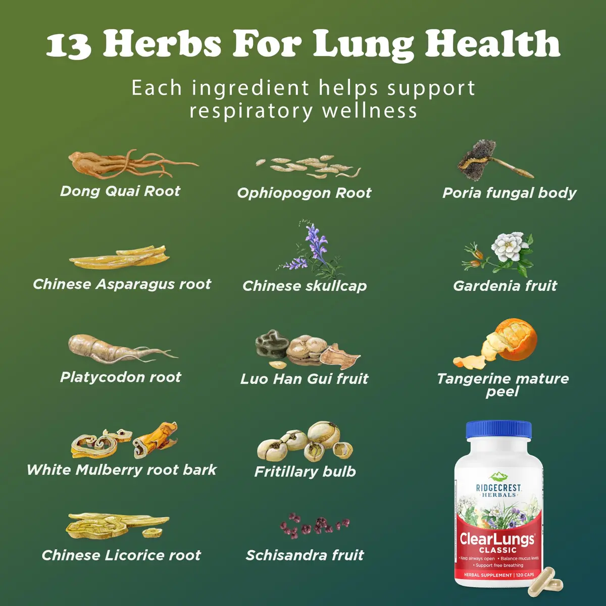 RidgeCrest Herbals ClearLungs Classic 120 Ct | Natural Lung Support for Adults - view 7