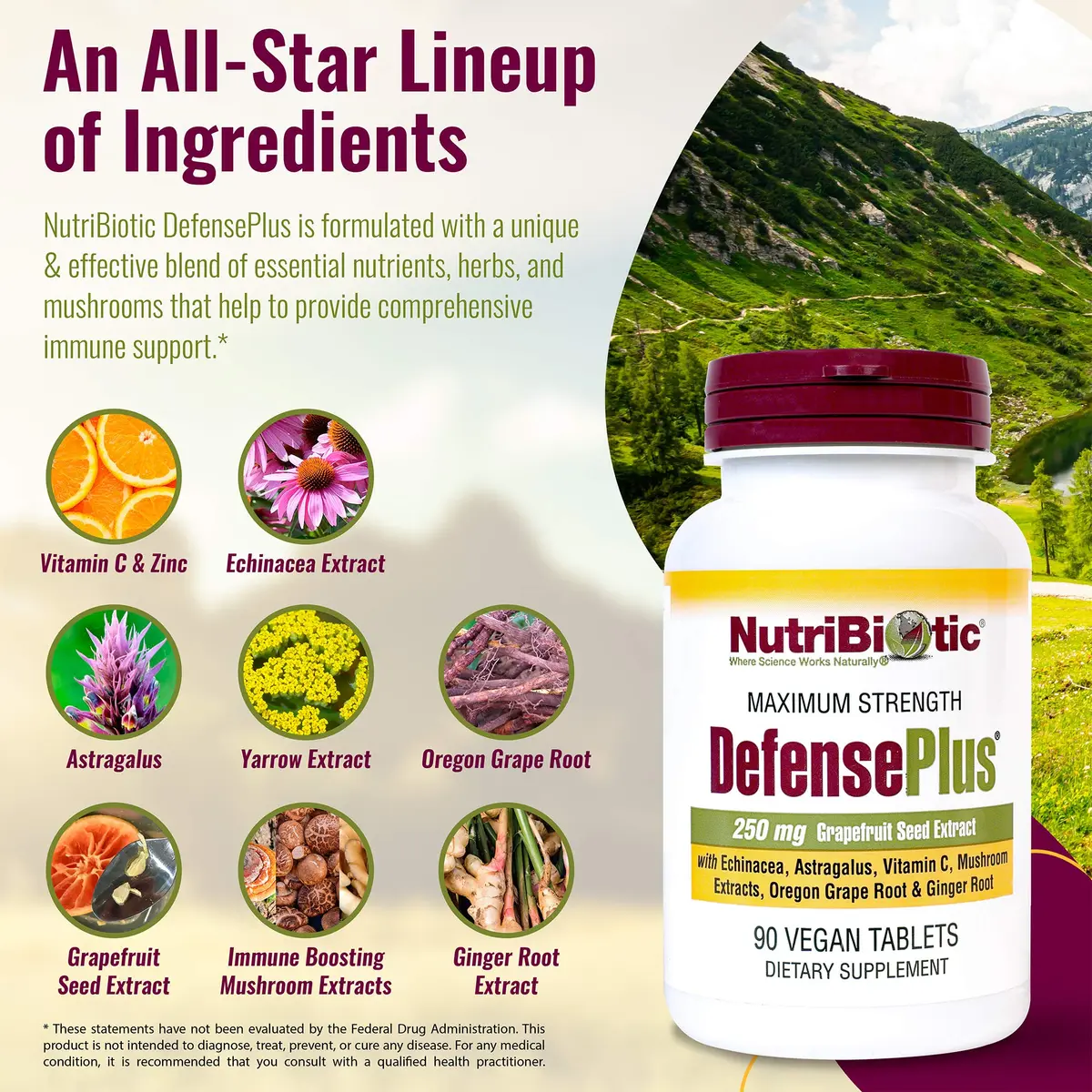 NutriBiotic DefensePlus 90 Tablets | 11-in-1 Immune Support with Vitamin C & Mushrooms - view 2