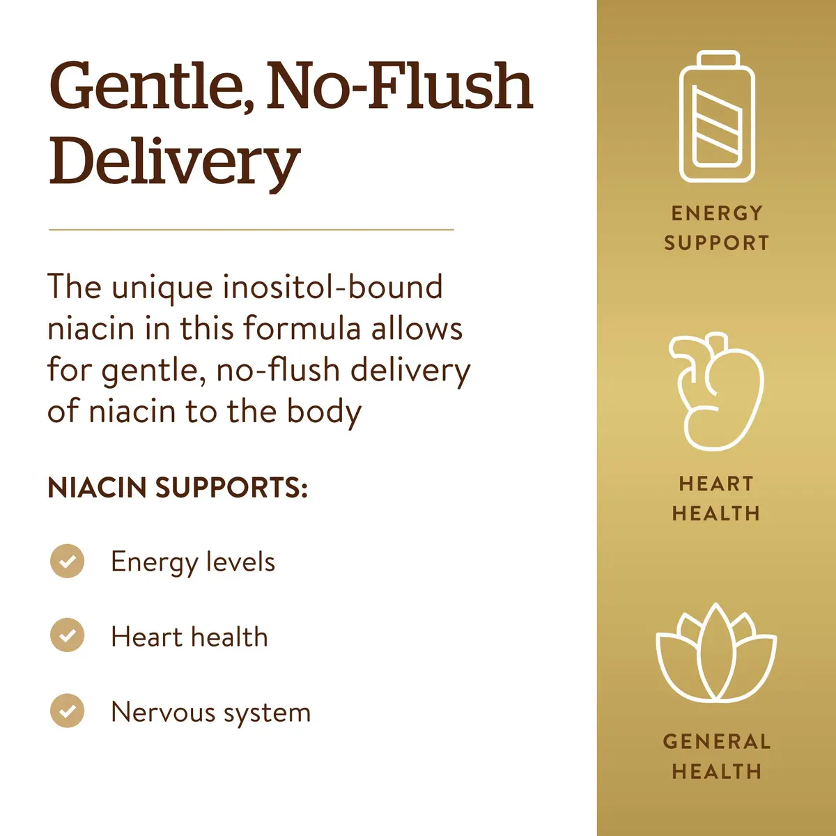 Solgar No-Flush Niacin 500 mg | No-Flush Delivery | 250 Vegetable Capsules - view 4