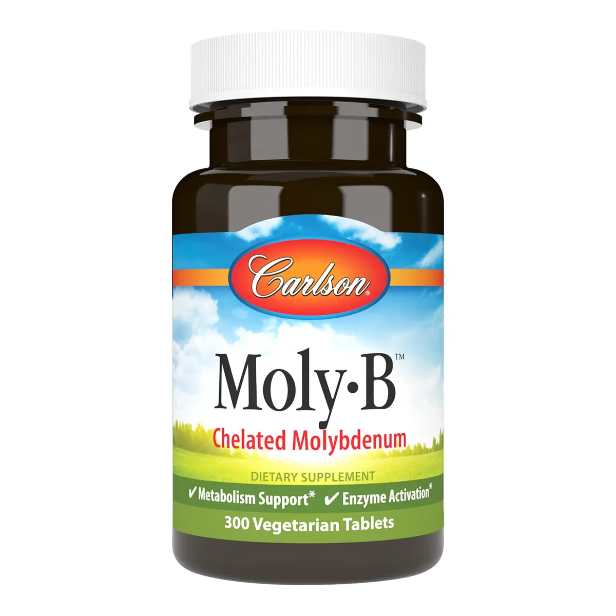 Carlson Moly-B, Metabolism Support, 300 Vegetarian Tablets | Supports Fat & Carbohydrate Metabolism - main product image
