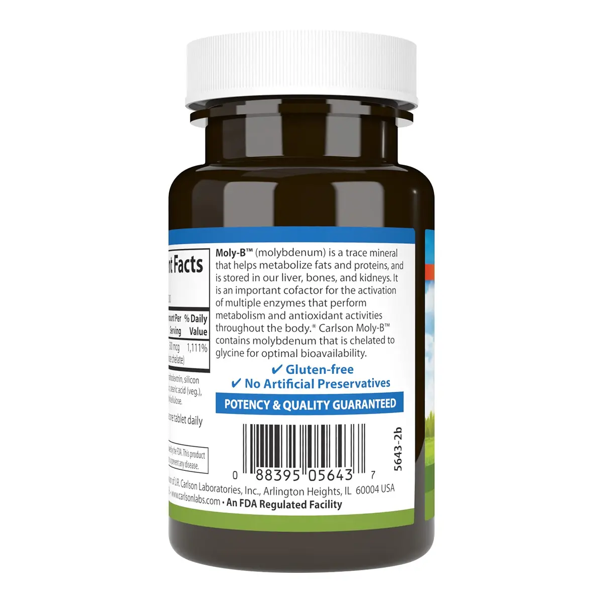 Carlson Moly-B, Metabolism Support, 300 Vegetarian Tablets | Supports Fat & Carbohydrate Metabolism - view 3