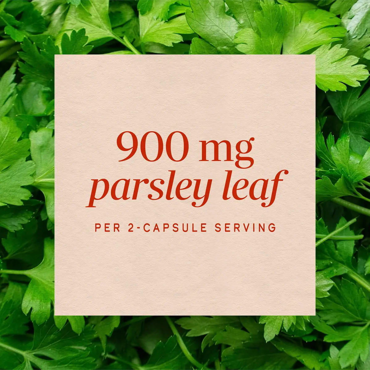 Nature's Way Parsley Leaf Dietary Supplement 100 ct | Supports Chlorophyll & Herbal Tradition - view 4