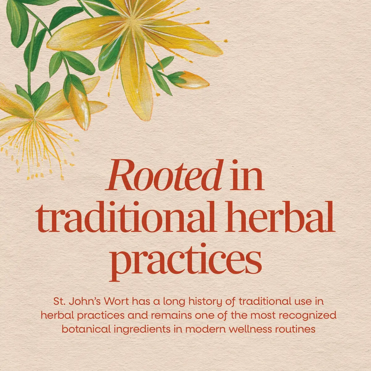Nature's Way St. John’s Wort Capsules, 700 mg | Supports Mood & Wellbeing, Vegan, 180 ct - view 3