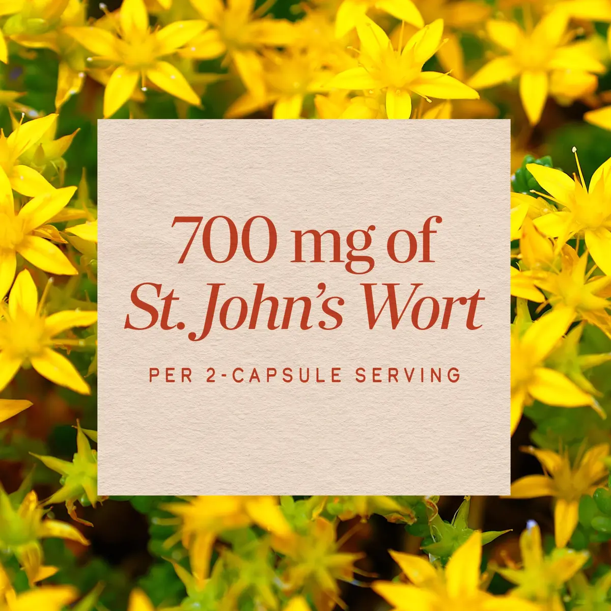 Nature's Way St. John’s Wort Capsules, 700 mg | Supports Mood & Wellbeing, Vegan, 180 ct - view 4