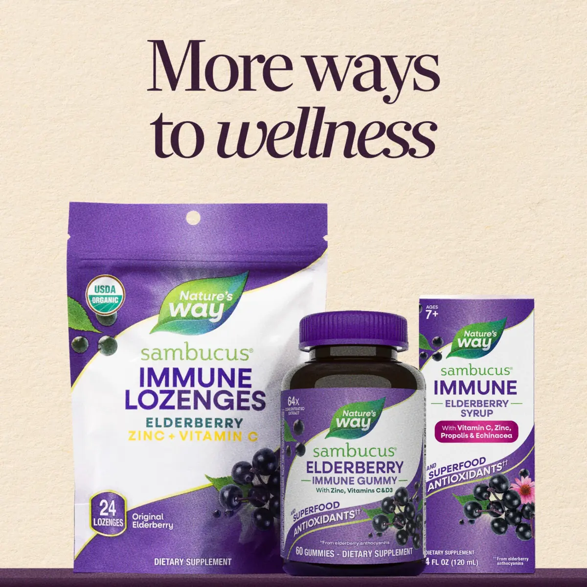 Nature's Way Sambucus Immune Elderberry Syrup with Vitamin C & Zinc 240ml (8 Fl Oz) | Immune Support with Superfood Antioxidants - view 8