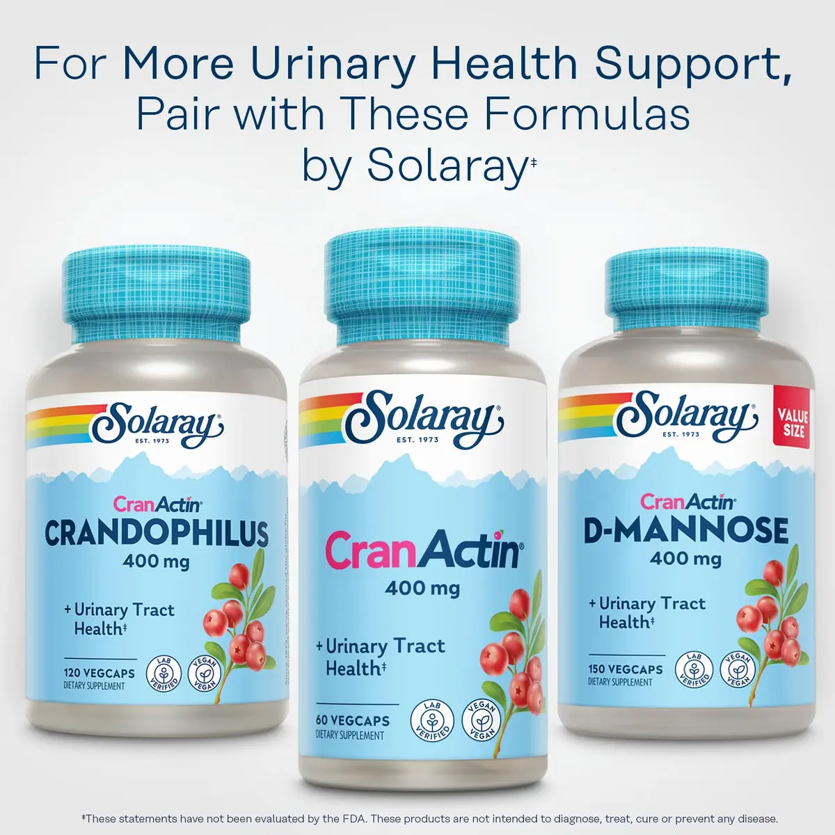 SOLARAY CranActin Cranberry Extract 400 mg | Urinary & Immune Support, Vegetarian, 60 VegCaps - view 6