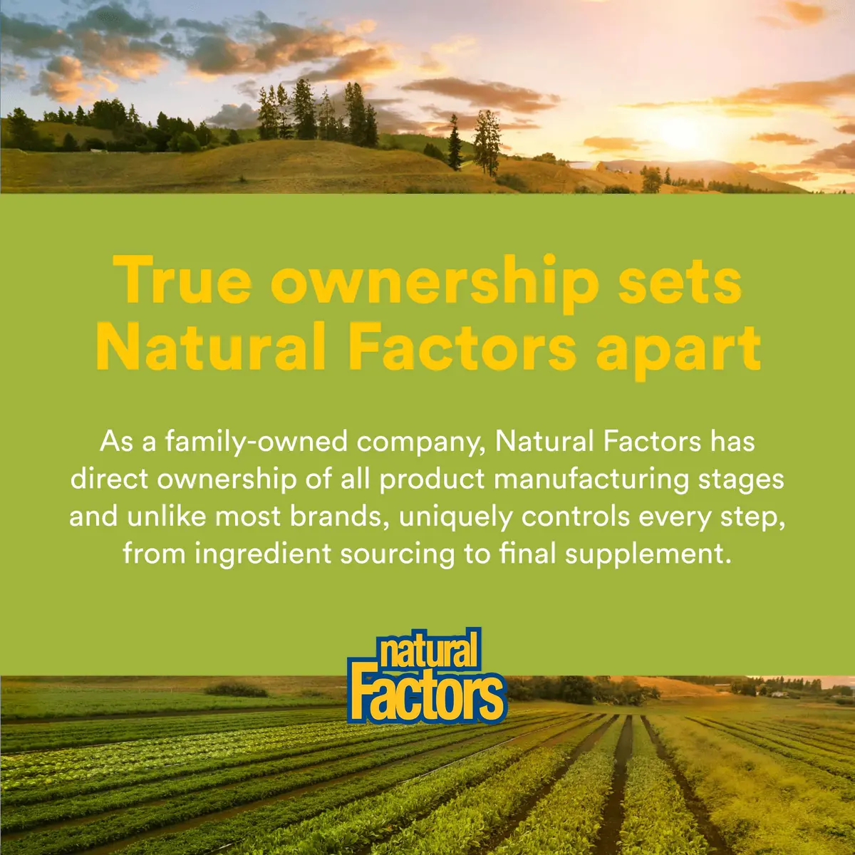 Natural Factors DGL Chewable 90 Tablets | Supports Digestive Health & Stomach Lining - view 7