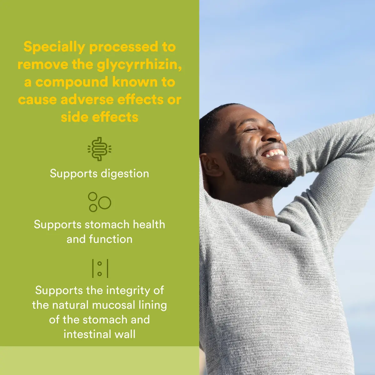 Natural Factors DGL Chewable 90 Tablets | Supports Digestive Health & Stomach Lining - view 2