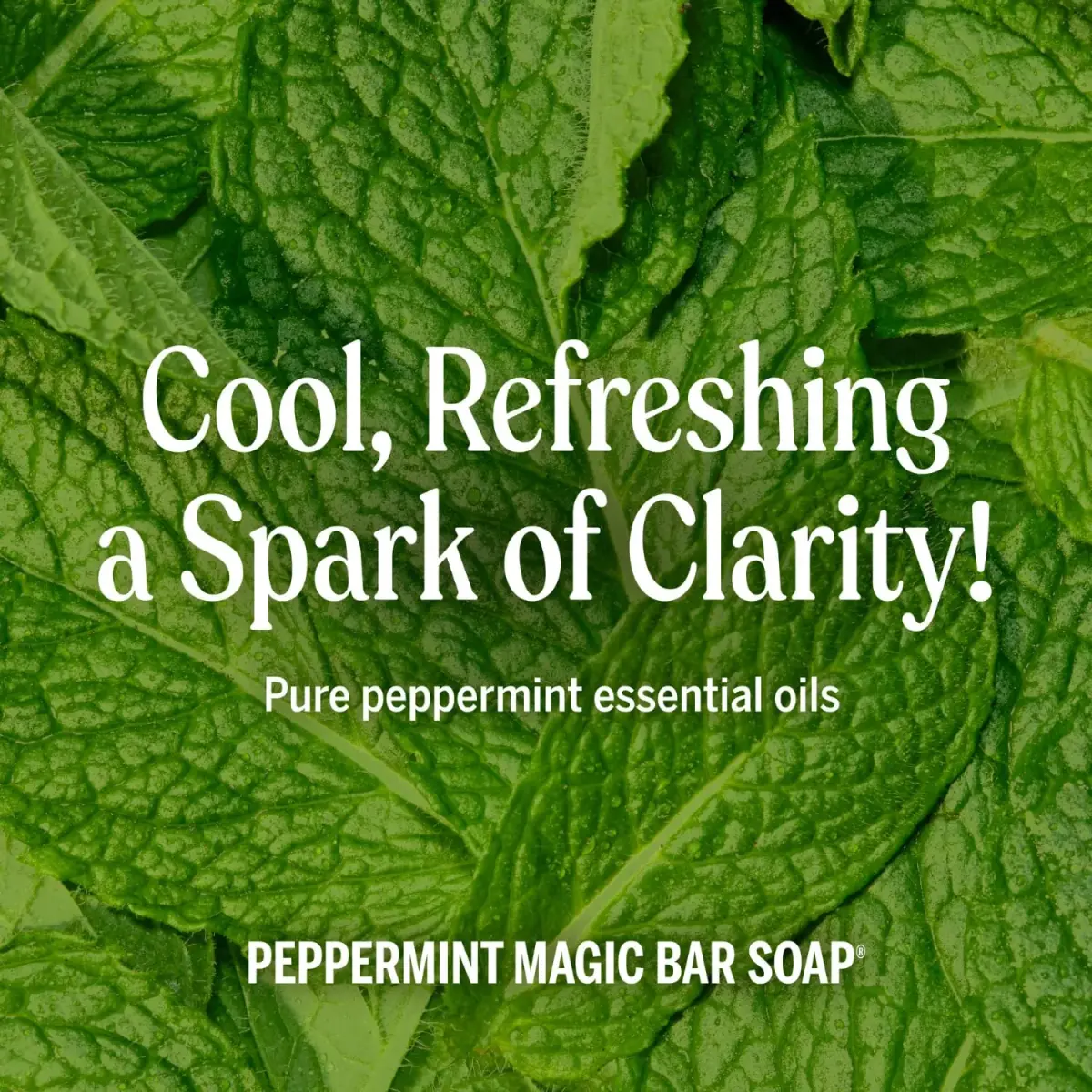 Dr. Bronner's Pure-Castile Bar Soap Peppermint 140g (5 oz) | Gentle Cleansing for Face, Body & Hair - view 5