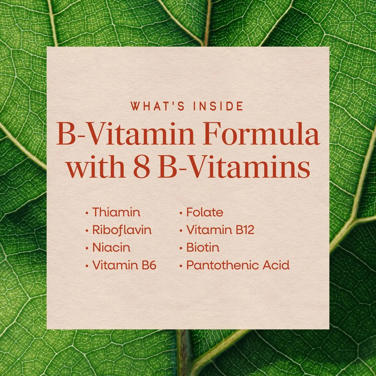 Nature's Way B-50 Complex Supports Cellular Energy & Nerve Health 100 Capsules | Gluten Free - view 4