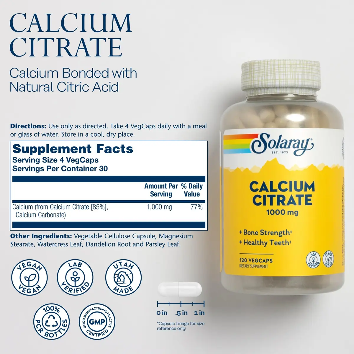 SOLARAY Calcium Citrate 1000 mg 120 VegCaps | Bone Health Supplement with Chelated Calcium - view 2