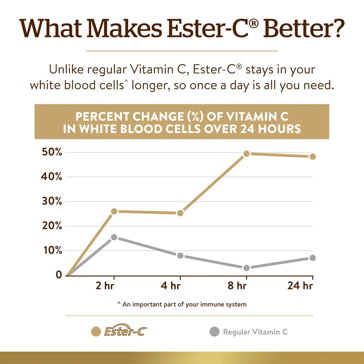 Solgar Ester-C Plus 1000 mg Vitamin C Tablets | Gentle, Non Acidic, Immune Support - view 4
