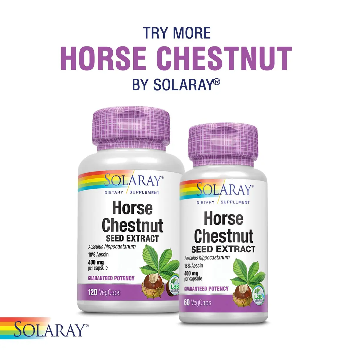 SOLARAY Circulegs 60 VegCaps | Horse Chestnut & Vitamin C for Circulatory Wellness - view 7