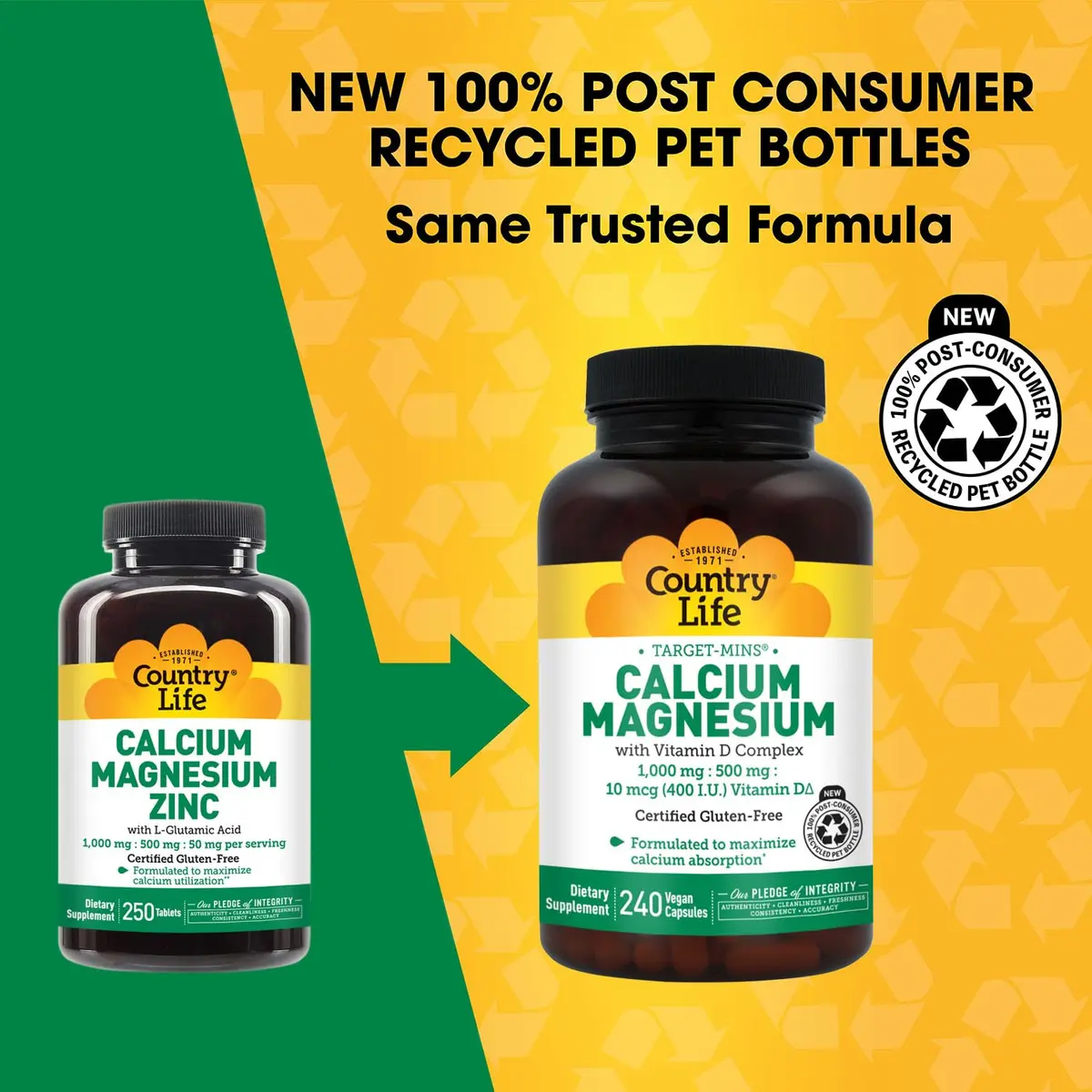 Country Life Calcium Magnesium Zinc with L-Glutamic Acid 250 Tablets | Bone & Muscle Support - view 2
