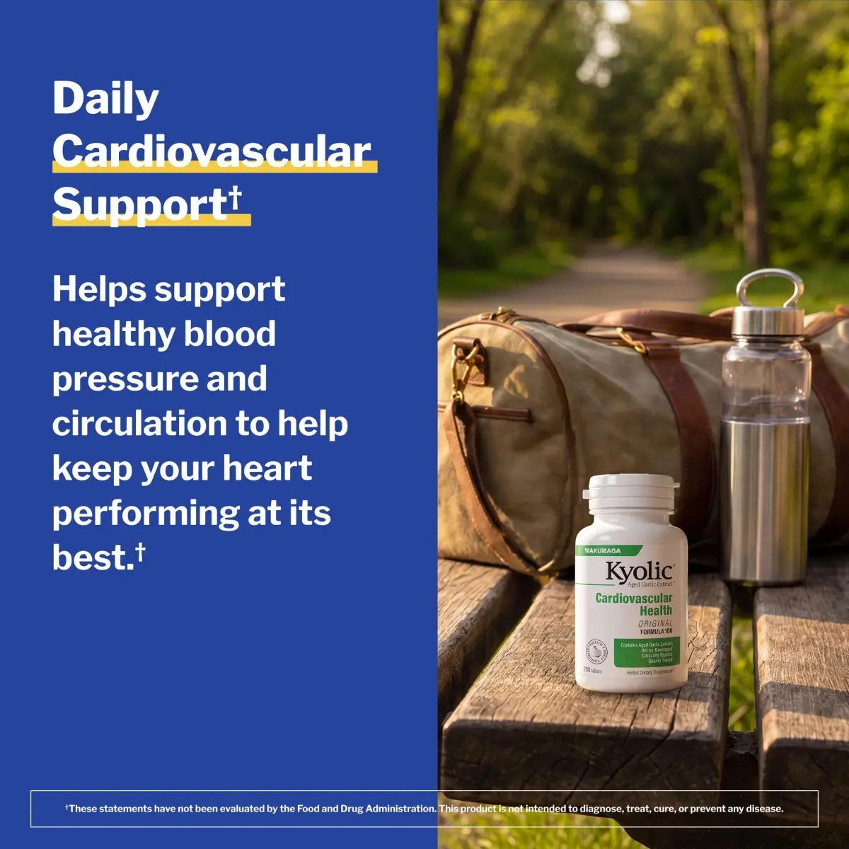 Kyolic Aged Garlic Extract Cardiovascular Health Formula 100, 200 Tablets | Supports Heart Health & Circulation - view 4