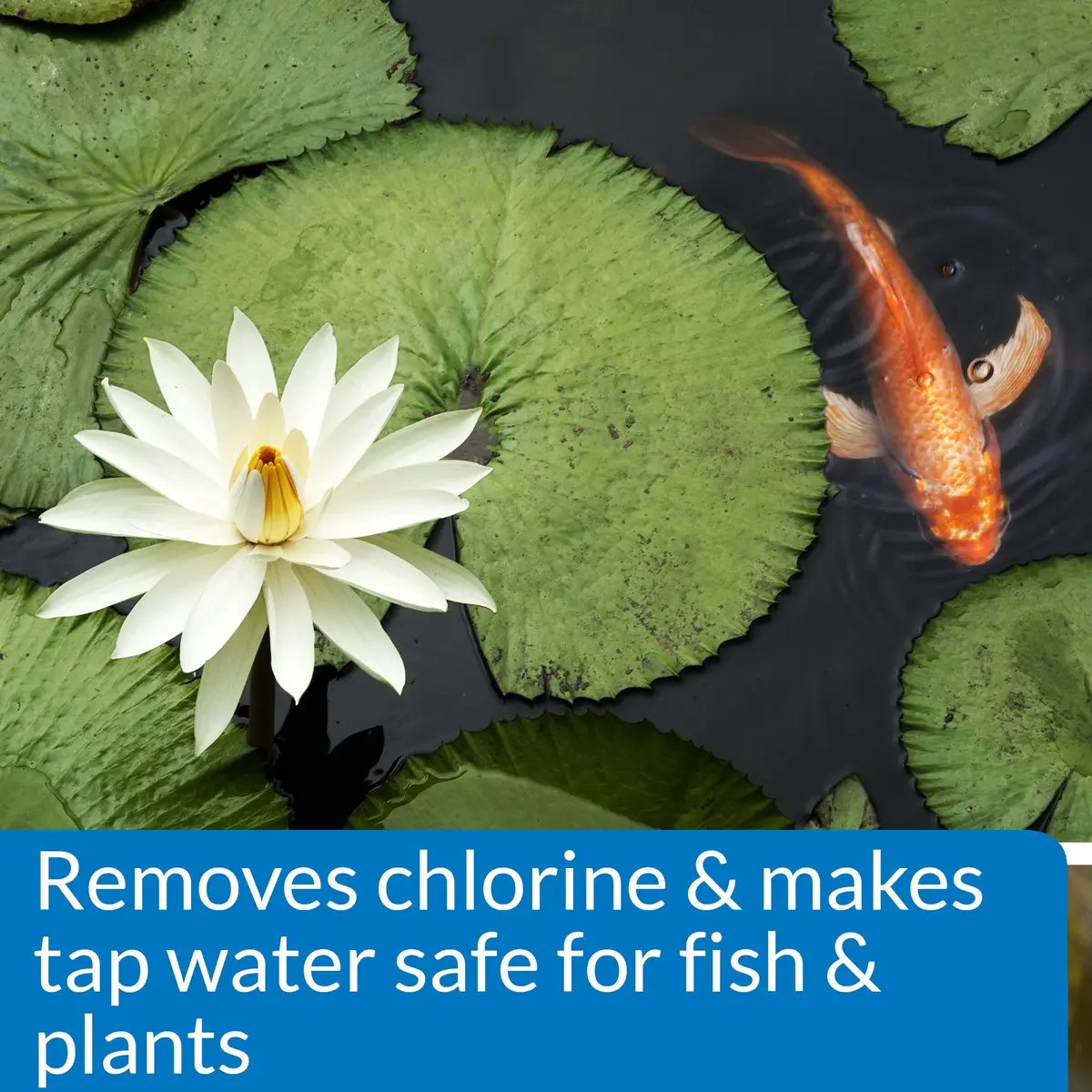 API Pond Chlorine & Heavy Metal Neutralizer 16oz | Instantly Removes Harmful Chemicals for Pond Safety - view 3