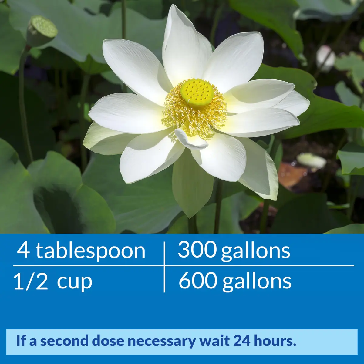 API ACCU-CLEAR Pond Water Clarifier 473ml (16 fl oz) | Clears Cloudy Water & Improves Filter Efficiency - view 6