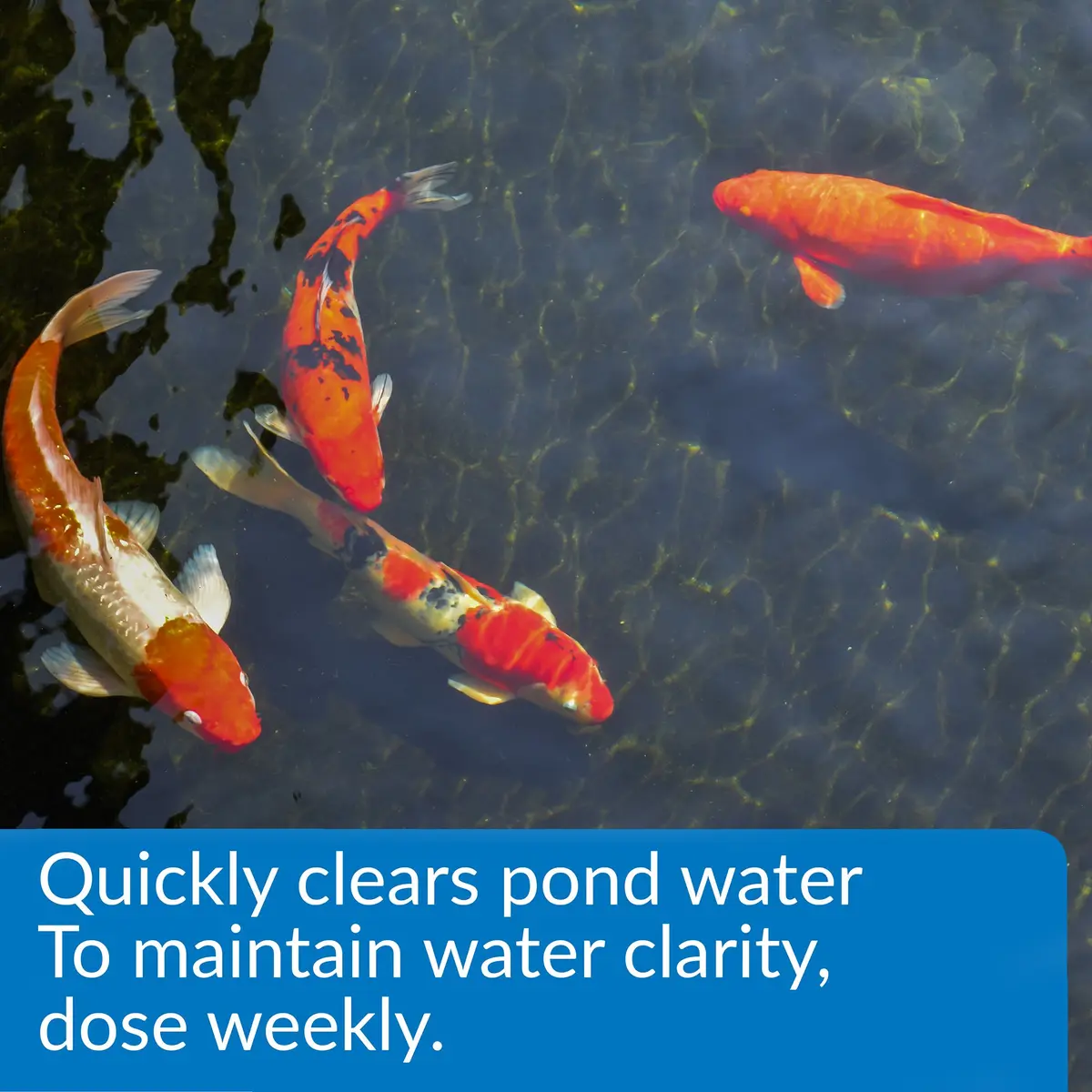 API ACCU-CLEAR Pond Water Clarifier 473ml (16 fl oz) | Clears Cloudy Water & Improves Filter Efficiency - view 2
