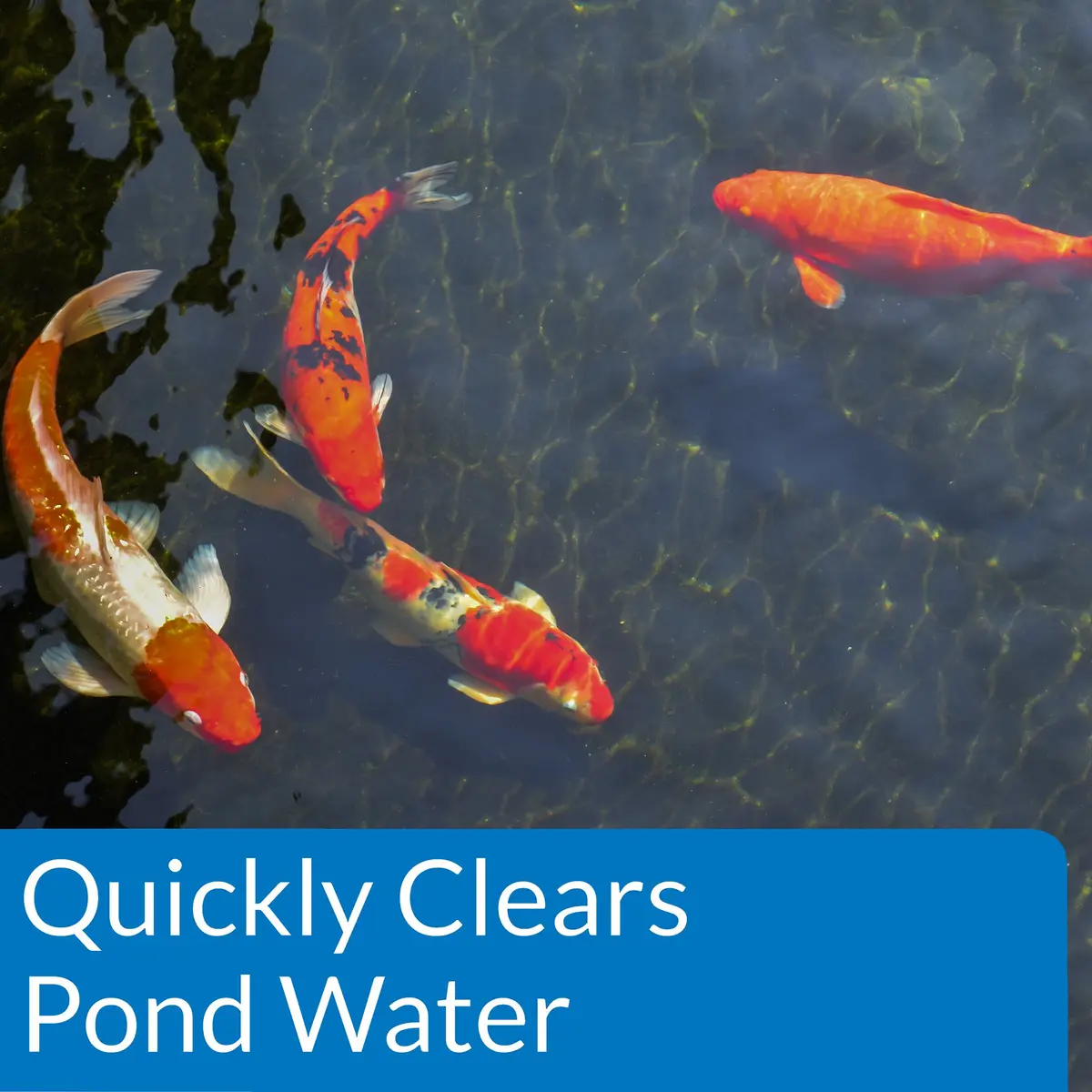 API ACCU-CLEAR Pond Water Clarifier 473ml (16 fl oz) | Clears Cloudy Water & Improves Filter Efficiency - view 3