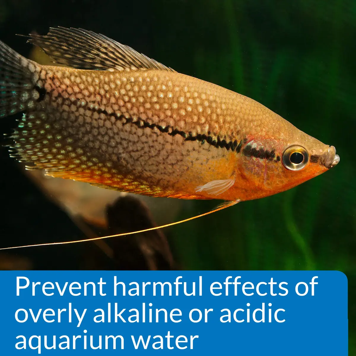 API pH TEST KIT 250-Test Freshwater Aquarium Water pH Test Kit | Easy Weekly Monitoring - view 5