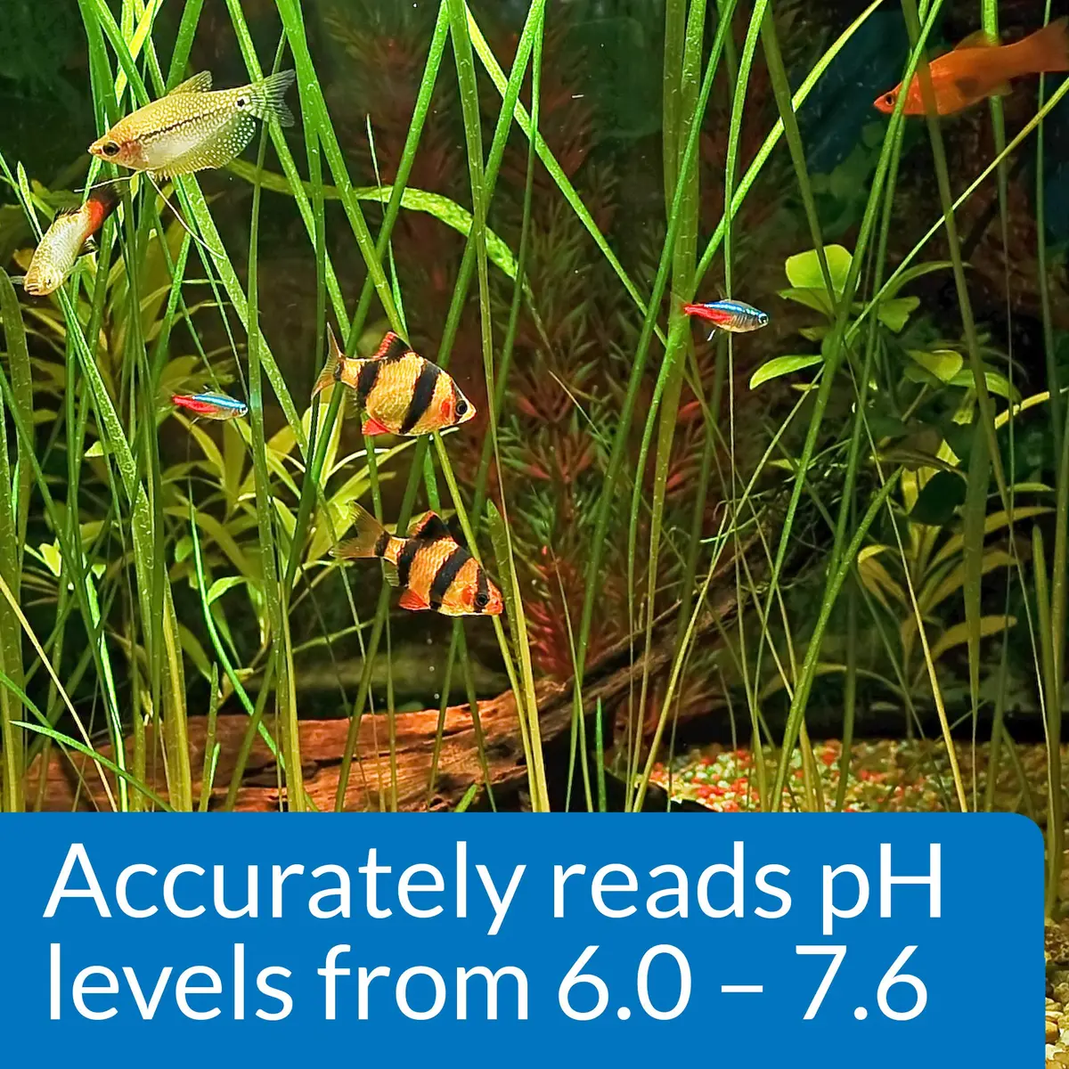 API pH TEST KIT 250-Test Freshwater Aquarium Water pH Test Kit | Easy Weekly Monitoring - view 6