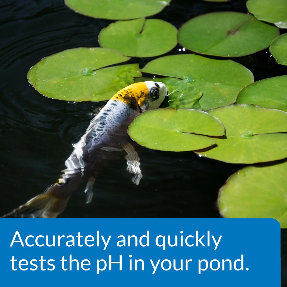 API Pond Wide Range pH Test Kit 160 Tests | Accurate Water Testing for Fish & Pond Care - view 3