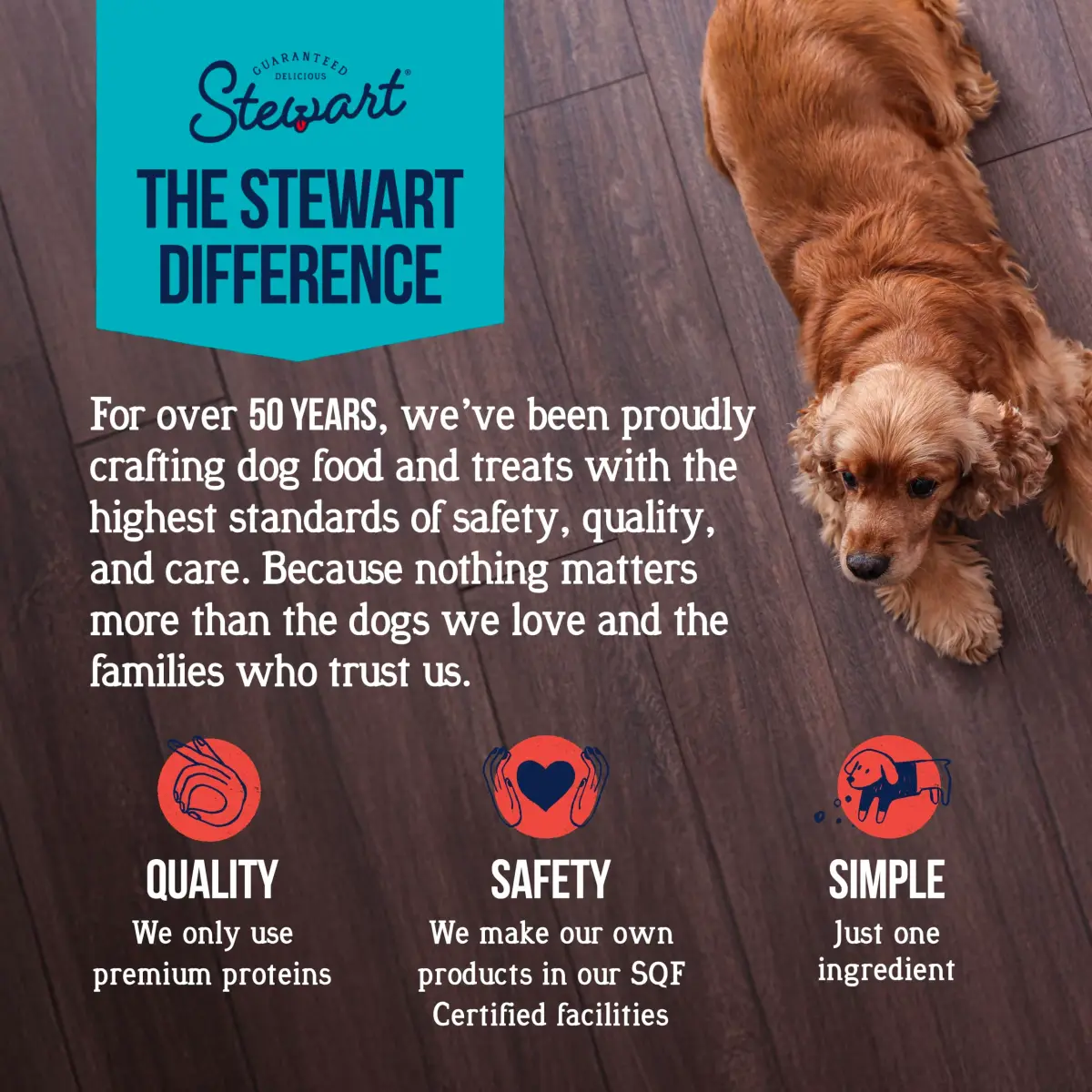 Stewart Freeze-Dried Dog Treats, 100% Beef Liver, 14 oz (397g) Tub | High Protein Training & Meal Topper - view 5