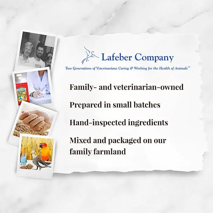 LAFEBER'S Classic Avi-Cakes for Cockatiels & Parakeets 227 g (8 oz) | Nutritionally Complete Foraging Food - view 6