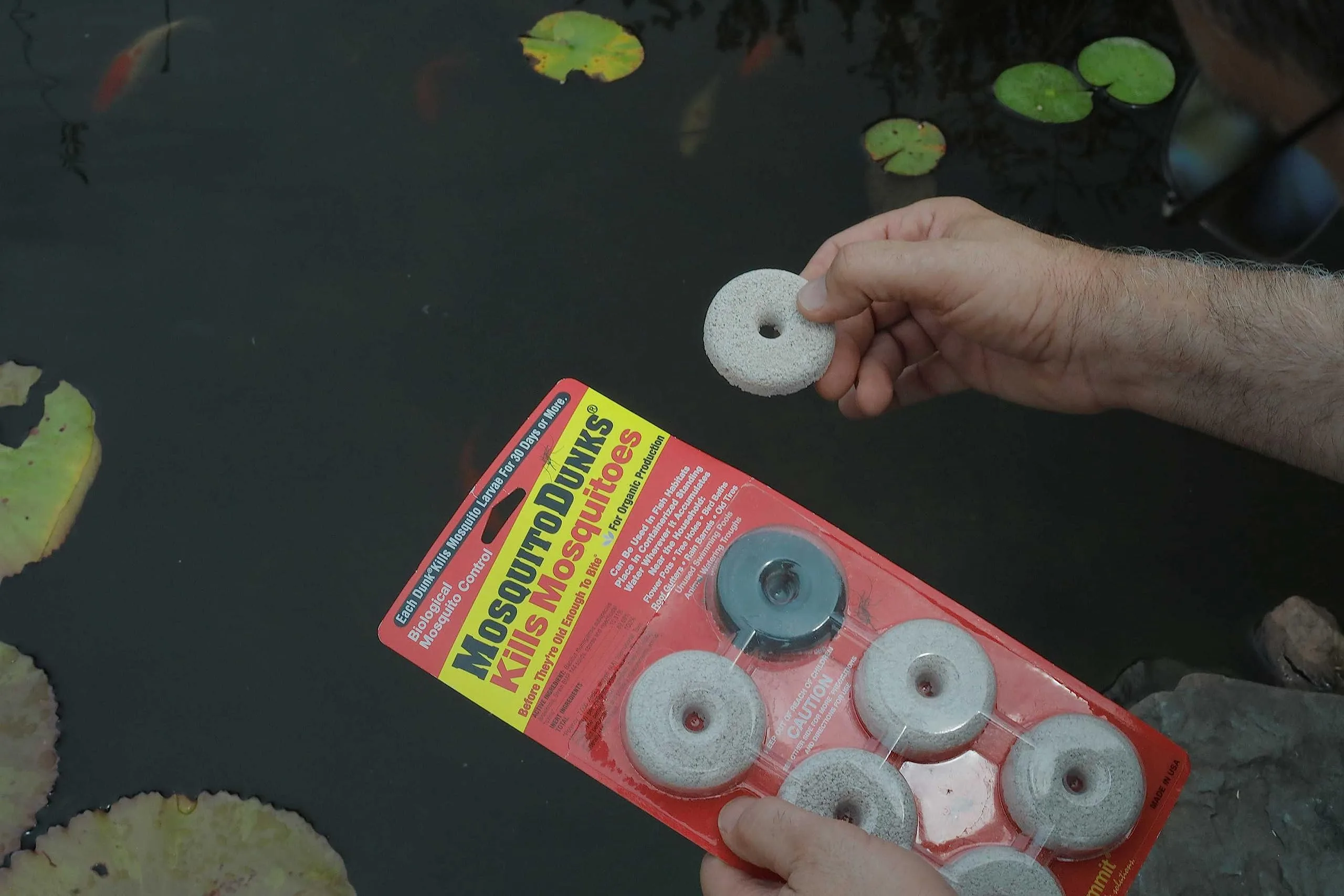 Baits & Lures