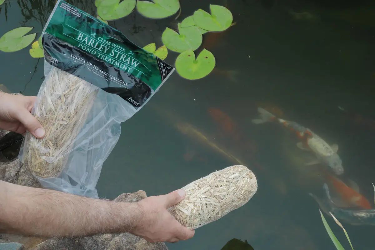 Summit Clear-Water Barley Straw Pond Treatment 2-Pack | Natural Pond Clarifier, Treats 2000 Gallons, Safe for Fish & Plants - view 3