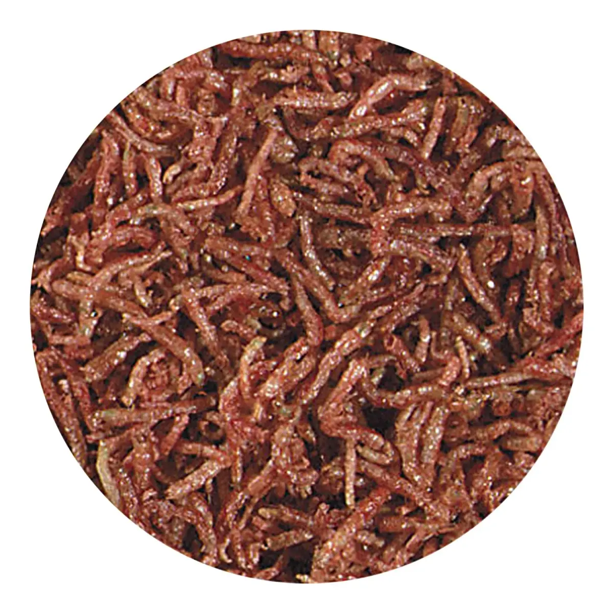 Hikari Bio-Pure Freeze Dried Blood Worms for Pets, 12g (0.42 oz) | All Life Stages Fish Food - view 3