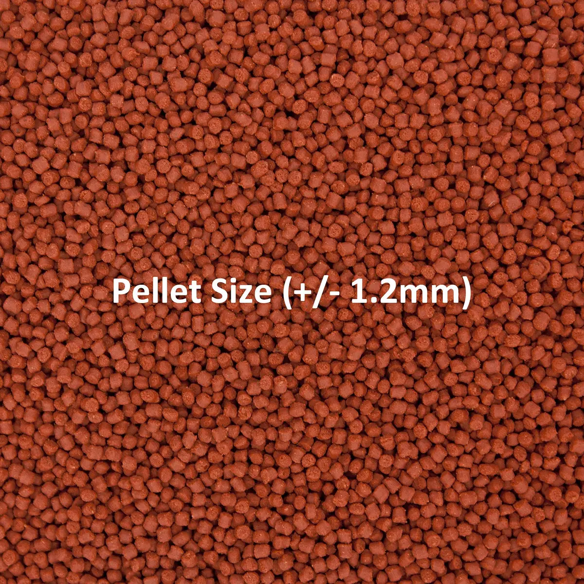 Ocean Nutrition Formula One Small Pellet Fish Food 100g (3.5oz) Jar | Gourmet Tropical Fish Food - view 5