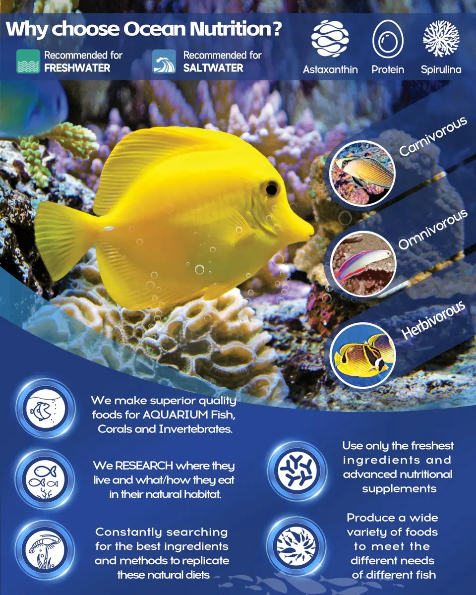 Ocean Nutrition Formula One Small Pellet Fish Food 100g (3.5oz) Jar | Gourmet Tropical Fish Food - view 8