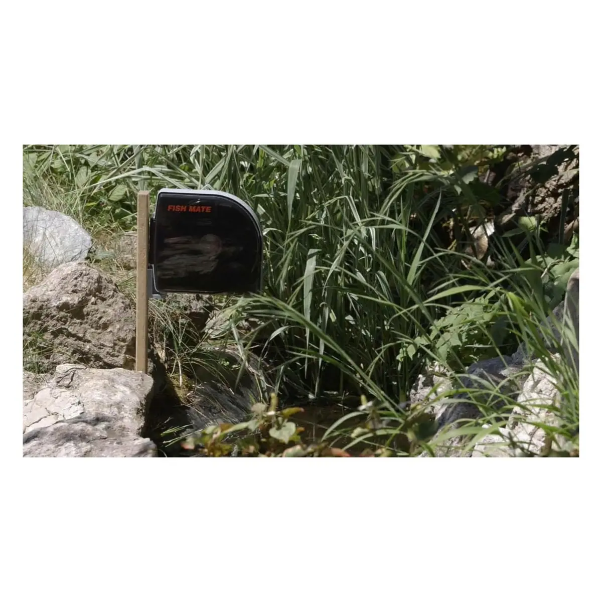 Fish Mate P21 Programmable Automatic Fish Feeder for Pond & Large Aquariums | 21 Meals, Waterproof Battery Operated, Precision Quartz Timer - view 2
