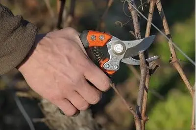 Bahco BAHPX-S2 ERGO Small Bypass Pruning Shears, 7" Length, 3/4" Cut Cap | Ergonomic Garden Shears for Precise Pruning - view 3