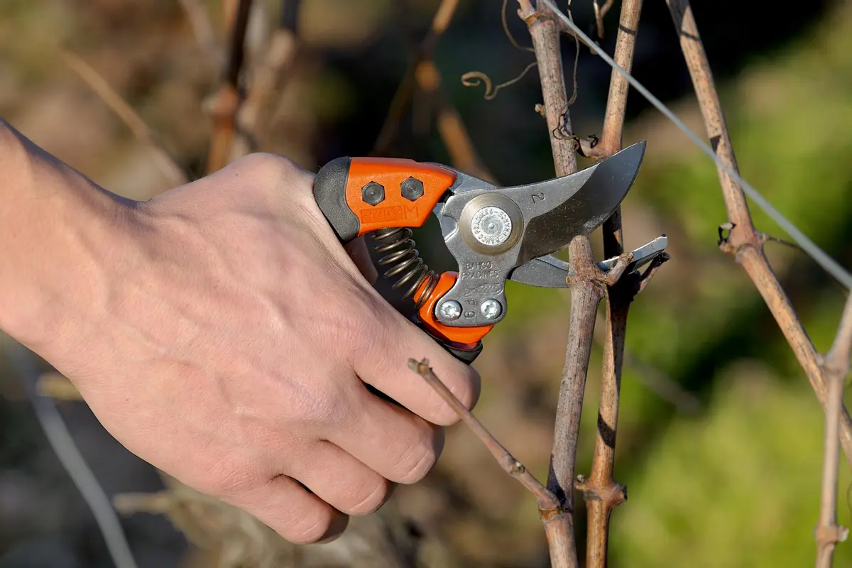 Bahco BAHPX-S2 ERGO Small Bypass Pruning Shears, 7" Length, 3/4" Cut Cap | Ergonomic Garden Shears for Precise Pruning - view 4