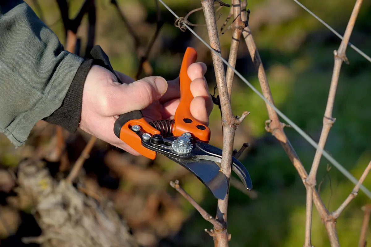 Bahco BAHPX-S2 ERGO Small Bypass Pruning Shears, 7" Length, 3/4" Cut Cap | Ergonomic Garden Shears for Precise Pruning - view 5