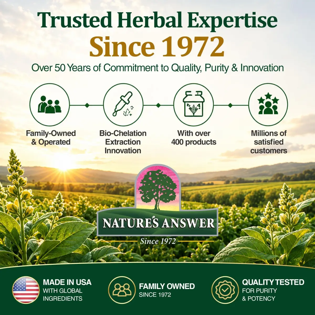Nature's Answer Mullein Leaf Herbal Supplement 1 fl oz (29.57 ml) | Supports Respiratory Health - view 9