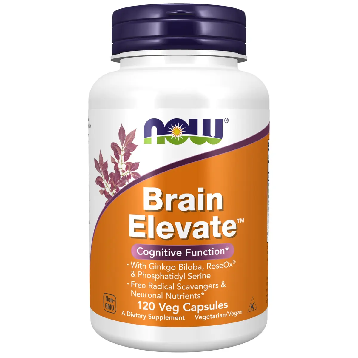 NOW Brain Elevate™ Ginkgo Biloba & RoseOx® 120 Veg Caps | Supports Healthy Cerebral Functions - main product image