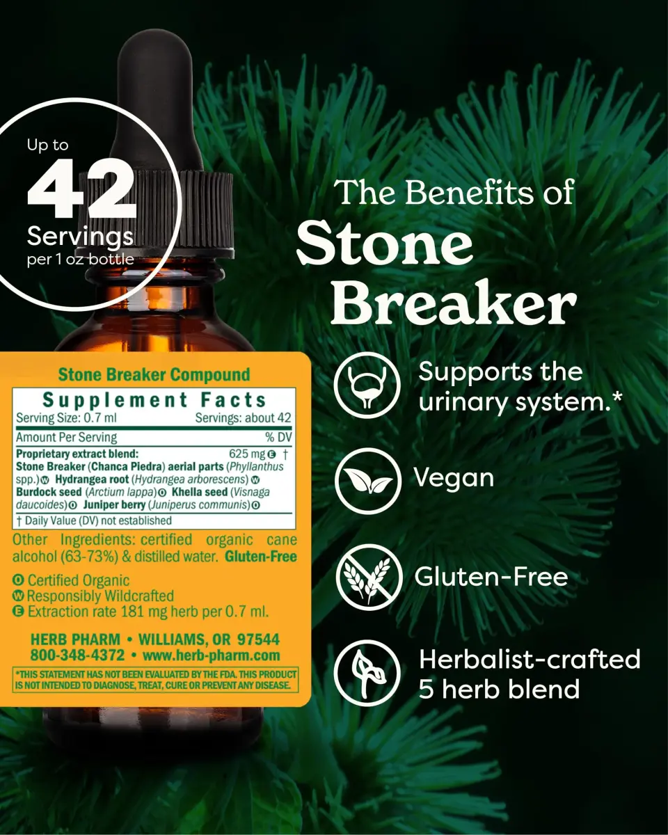 Herb Pharm Stone Breaker Chanca Piedra Liquid Extract 1 oz (30 ml) | Supports Urinary System - view 2