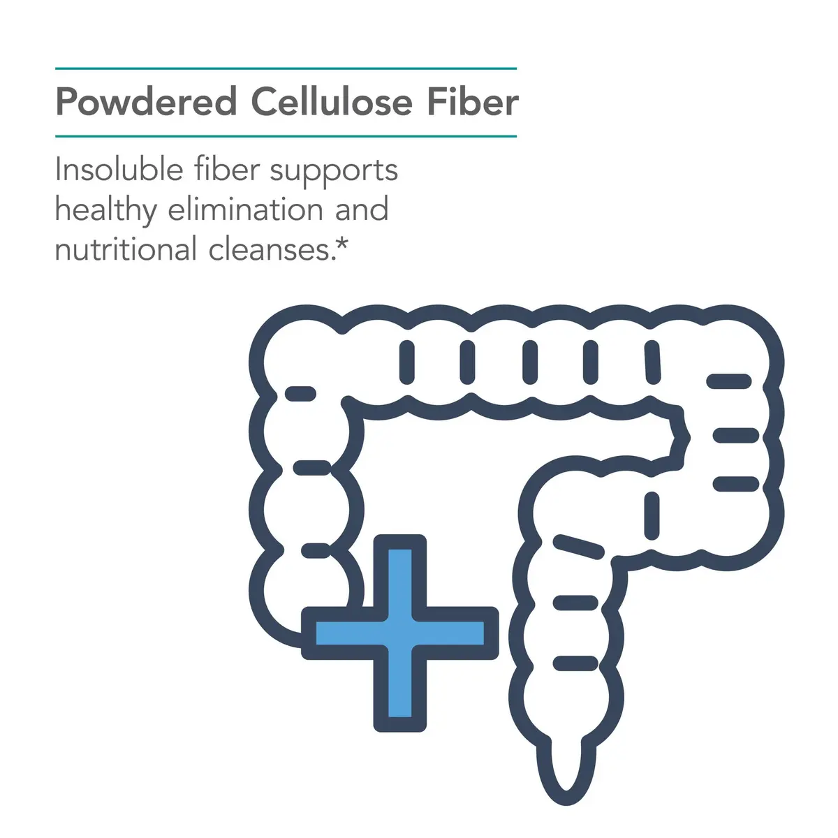 Allergy Research Group Dietary Fiber Cellulose Powder 250 g | Insoluble, Non-Fermentable for Digestion Support - view 3