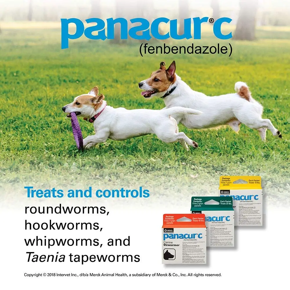 Panacur Canine Dewormer 2g | Treats Roundworms, Hookworms, Whipworms & Tapeworms in Dogs - view 4