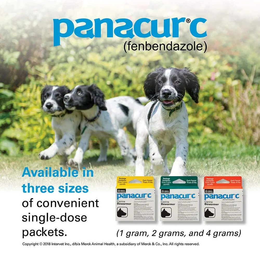 Panacur Canine Dewormer 2g | Treats Roundworms, Hookworms, Whipworms & Tapeworms in Dogs - view 5